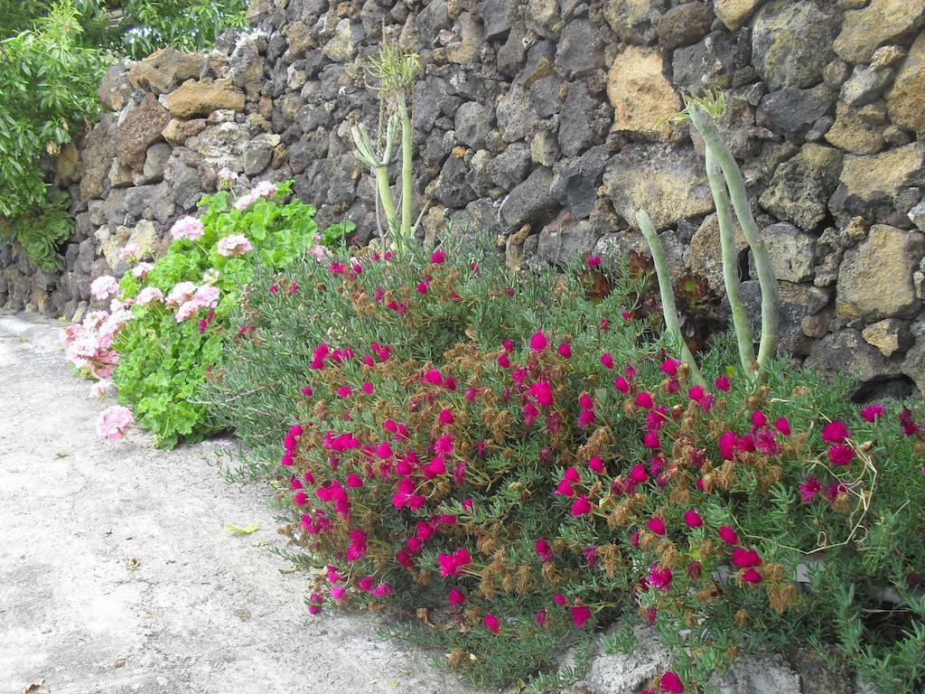 Casa Rural Abuelo Pancho Las Casas  외부 사진